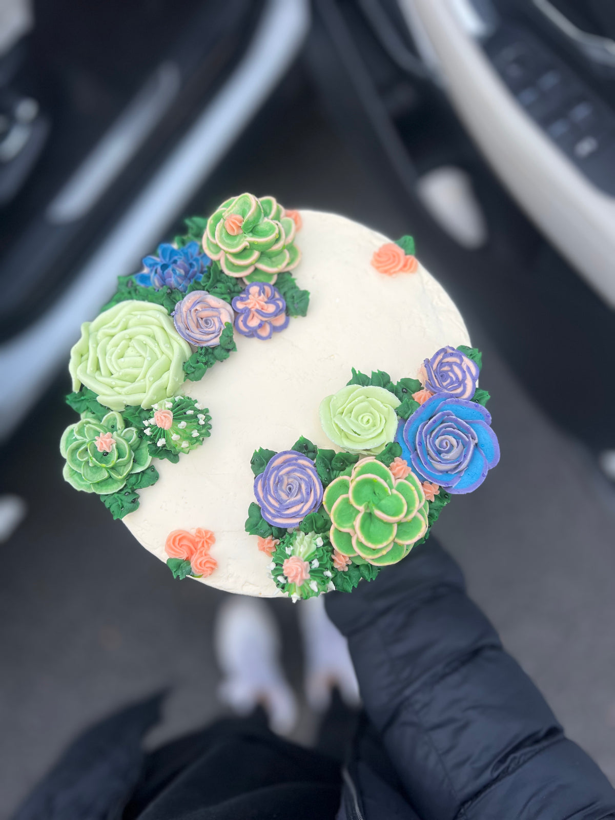 Succulent Cake